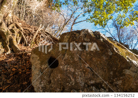 Climbing Mt. Oyama, Kanagawa Prefecture Climbing Mt. Oyama, Kanagawa Prefecture 134156252