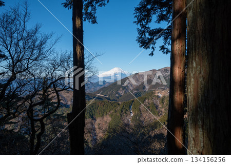 Climbing Mt. Oyama, Kanagawa Prefecture 134156256