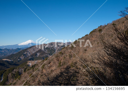 Climbing Mt. Oyama, Kanagawa Prefecture Climbing Mt. Oyama, Kanagawa Prefecture 134156695