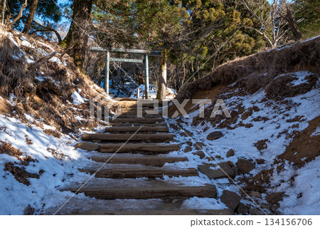 Climbing Mt. Oyama, Kanagawa Prefecture 134156706