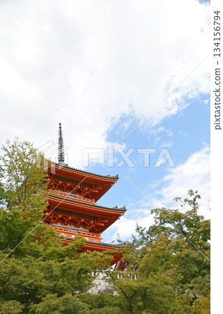 Three-story pagoda at Kiyomizu-dera Temple (Kyoto City, Kyoto Prefecture) 134156794