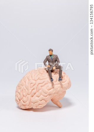 Miniature Businessman Sitting on Brain Model Miniature Businessman Sitting on Brain Model 134156795