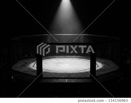 bright spotlight shines down on a circular fighting area surrounded by a fence. The setting is dark with faint outlines of people watching. The focus is on the arena. 134156963