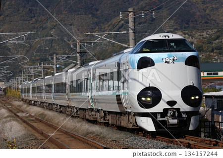 JR West Japan Series 287 Lapping Train (Panda Train) JR West Japan Series 287 Lapping Train (Panda Train) 134157244