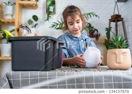 The girl's hobby is transplanting home potted plants, the girl holds a flower pot in her hands 134157879