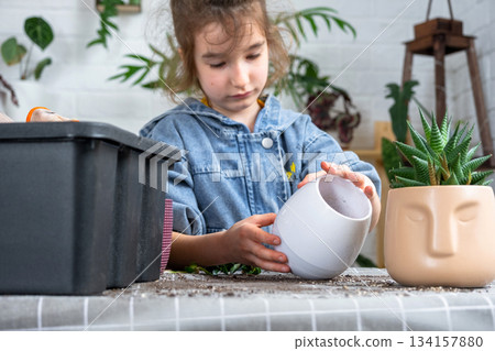 The girl's hobby is transplanting home potted plants, the girl holds a flower pot in her hands 134157880