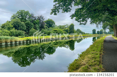 Gentle river reflecting trees on calm morning promenade Gentle river reflecting trees on calm morning promenade 134158201