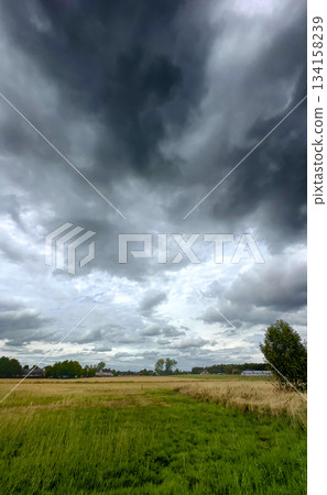 Rijkevorsel, Antwerpse Kempen, Belgium, Gusty winds swirl across expansive farmland under foreboding Rijkevorsel, Antwerpse Kempen, Belgium, Gusty winds swirl across expansive farmland under foreboding 134158239