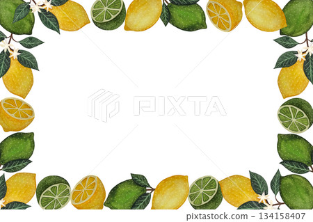 Watercolor rectangular frame of limes and lemons on a white background Watercolor rectangular frame of limes and lemons on a white background 134158407