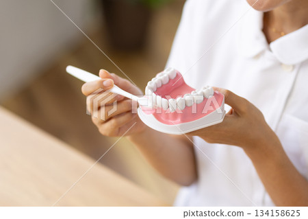 一位身穿白大褂的女士手持牙齒模型和牙刷的特寫鏡頭 134158625