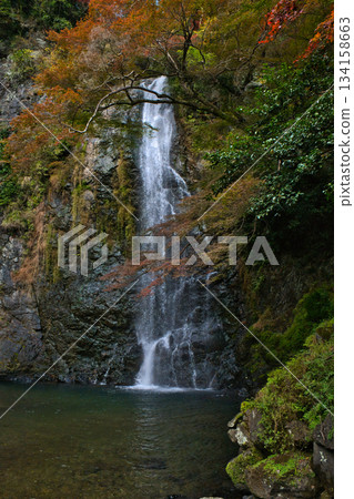 秋葉覆蓋的山谷和瀑布,構成了一幅美麗的自然畫卷。 秋葉覆蓋的山谷和瀑布,構成了一幅美麗的自然畫卷。 134158663