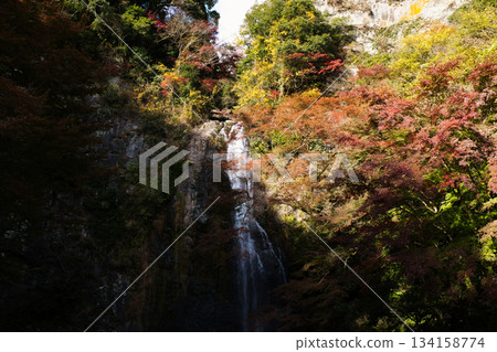 秋日靜謐的箕面瀑布 134158774