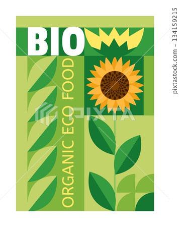 Food pattern poster. Natural eco product. Sunflower leaves and flower. Abstract graphic agriculture flyer design template. Farm harvest cultivation. Organic grow at plantation. Collage vector banner 134159215