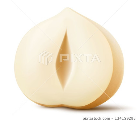 Half of shelled hazelnut isolated on a white background. Hazelnut in cross section. Hazelnut kernels are ripe and tasty, a healthy treat, a source of protein. Realistic 3d vector illustration. Half of shelled hazelnut isolated on a white background. Hazelnut in cross section. Hazelnut kernels are ripe and tasty, a healthy treat, a source of protein. Realistic 3d vector illustration. 134159293