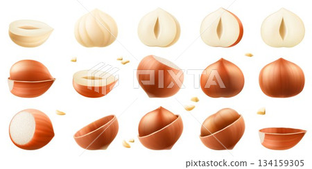 Set of realistic hazelnuts. Whole and half hazelnut isolated on white background. Peeled and unpeeled nuts. Hazelnut kernels are ripe and tasty, a source of protein. 3d vector illustration. 134159305