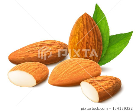 Almond nut composition, different statements. Whole and cracked nuts, hulled and raw kernels and green leaves. Good for labels and stickers, packaging design. Realistic 3d Vector illustration 134159322