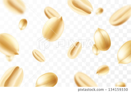 Falling peanuts, isolated on transparent background, selective focus. Flying peanut with blurry effect. Can be used for advertising, packaging, banner, poster. Realistic 3d vector illustration Falling peanuts, isolated on transparent background, selective focus. Flying peanut with blurry effect. Can be used for advertising, packaging, banner, poster. Realistic 3d vector illustration 134159330