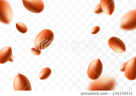 Falling peanuts, isolated on transparent background, selective focus. Flying peanut with blurry effect. Can be used for advertising, packaging, banner, poster. Realistic 3d vector illustration 134159331