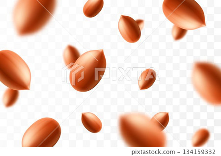 Falling peanuts, isolated on transparent background, selective focus. Flying peanut with blurry effect. Can be used for advertising, packaging, banner, poster. Realistic 3d vector illustration 134159332