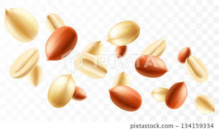 Falling peanuts, isolated on transparent background, selective focus. Flying peanut with blurry effect. Can be used for advertising, packaging, banner, poster. Realistic 3d vector illustration 134159334