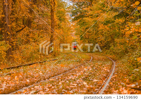Autumn forest through which the tram travels, Kyiv and rails Autumn forest through which the tram travels, Kyiv and rails 134159690