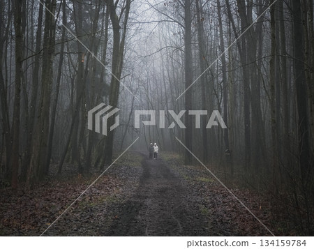 A forest path is shown in the rain with two people walking down it A forest path is shown in the rain with two people walking down it 134159784