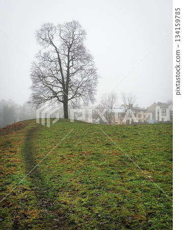 A path to a lonely tree on a hill. A path to a lonely tree on a hill. 134159785