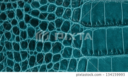 Close-up of teal crocodile texture with contrasting organic pattern. Natural background with reptile texture highlighting contrast of shapes and skin detail. Modern color backdrop Close-up of teal crocodile texture with contrasting organic pattern. Natural background with reptile texture highlighting contrast of shapes and skin detail. Modern color backdrop 134159993
