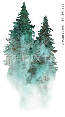 Hand drawn watercolor green spruce or pine tree misty forest, winter isolated illustration Hand drawn watercolor green spruce or pine tree misty forest, winter isolated illustration 134160341