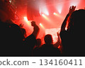 Crowd raising hands at music event 134160411