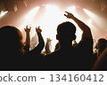 Crowd raising hands at music event 134160412