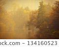 Colorful foliage in the autumn park. Concept for colorful seasonal nature background in autumn time. 134160523
