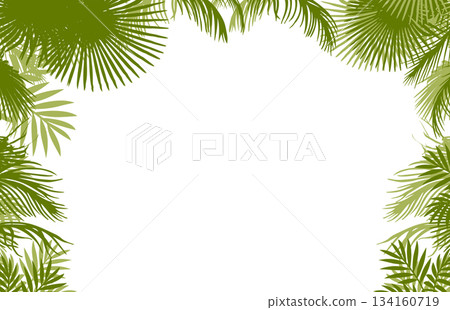 horizontal frame with palm leaves . Hand drawn. Not AI, vector illustration. horizontal frame with palm leaves . Hand drawn. Not AI, vector illustration. 134160719