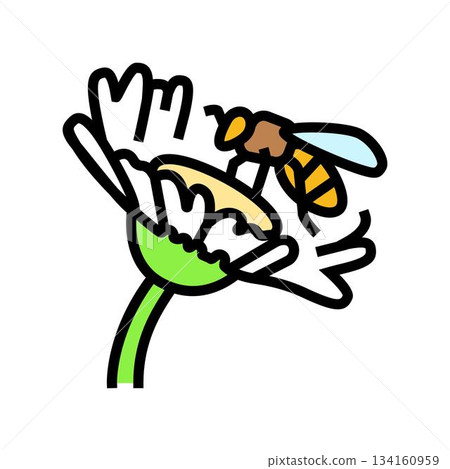 bee landing on a flower color icon vector illustration 134160959