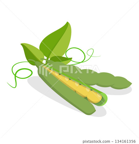 3D Isometric Flat Vector Set of Protein Food, Fresh Soybeans Straight From Nature. Item 1 134161356