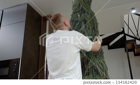 Male carefully transporting netted christmas tree up contemporary apartment staircase, bringing festive holiday spirit and creating cozy home environment 134162420