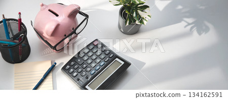 Smart piggy bank wearing glasses, using calculator Smart piggy bank wearing glasses, using calculator 134162591