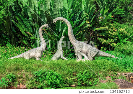 Installation A family of brachiosaurus dinosaurs among dense tropical greenery in Yanoda Park Hainan Installation A family of brachiosaurus dinosaurs among dense tropical greenery in Yanoda Park Hainan 134162713