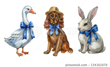 Charming watercolor animals with elegant blue bows: a goose, a spaniel in a hat, and a gentle rabbit. Cute vintage-style illustrations perfect for children s designs, prints, stationery and decor. 134162878