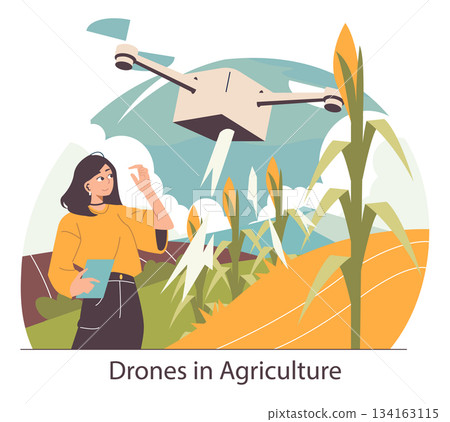 Vector illustration depicting a woman observing a drone flying over a cornfield, showcasing modern agricultural technology. The scene highlights innovation, precision, and efficiency in farming. 134163115