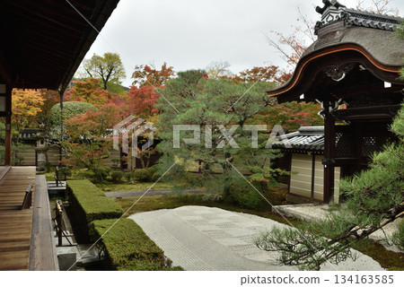 Eikando Temple in autumn: Karamon Gate, Shakado Hall, and Morisuna (Sakyo Ward, Kyoto City) 134163585