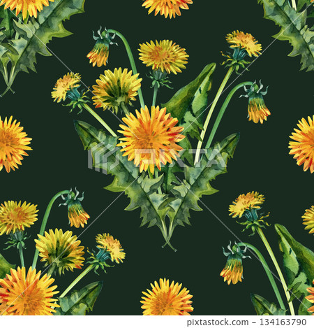 Bright seamless botanical watercolor illustration featuring blooming dandelions and textured green foliage. Ideal for fabric prints, wallpapers, gift wrapping, scrapbooking, and eco friendly design 134163790