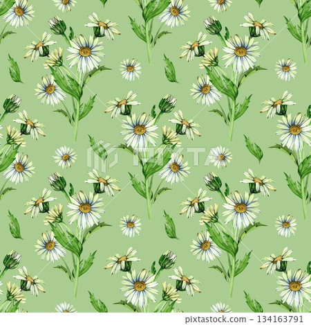 Seamless watercolor illustration pattern with delicate white daisies and fresh green stems. Light floral botanical design perfect for textile prints, wallpapers, wrapping paper, and romantic 134163791