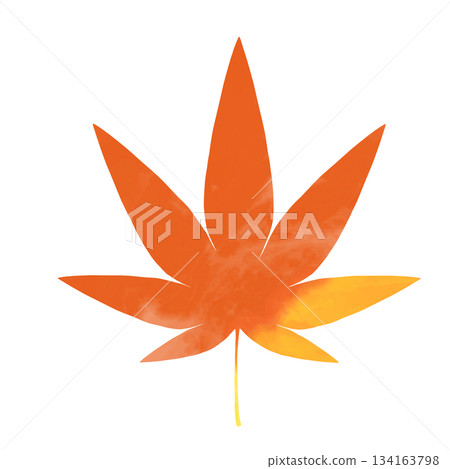 Autumn leaf illustration drawn with watercolor touch 134163798