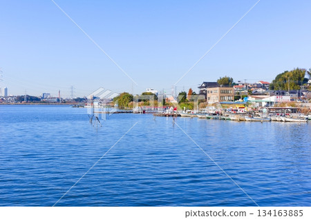 Around Lake Teganuma, Abiko City, Chiba Prefecture December 2025 134163885