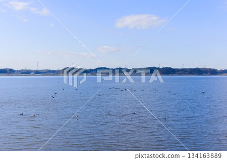 Around Lake Teganuma, Abiko City, Chiba Prefecture December 2025 134163889