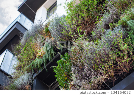 Green building in the city Green building in the city 134164052