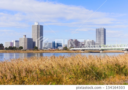 東京江戶川區荒川自行車道，2025年12月 134164303