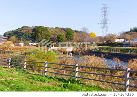 Near the source of the Saka River, Nagareyama City, Chiba Prefecture, December 2025 Near the source of the Saka River, Nagareyama City, Chiba Prefecture, December 2025 134164330