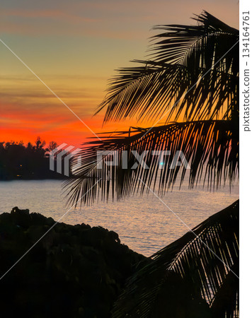 View from luxury villa at dusk, palm tree, sea and orange sky on background, island View from luxury villa at dusk, palm tree, sea and orange sky on background, island 134164761